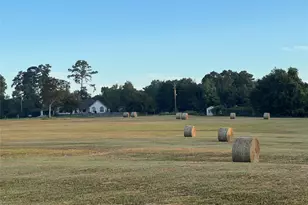 17 Ac St Beulah Chapel Rd, Montgomery, TX 77316 - Photo 27