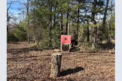 4025 391, Buffalo, TX 75831 - Photo 19