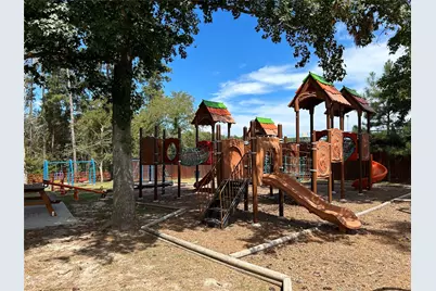 10260 Badger Run Lane, Magnolia, TX 77354 - Photo 15