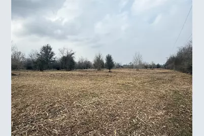 Lot 11 County Road 30, Angleton, TX 77515 - Photo 3