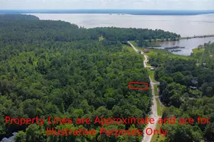 Tbd Port Blvd, Trinity, TX 75862 - Photo 1