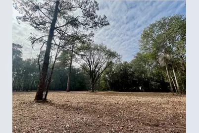 10690 Waukegan Road, Conroe, TX 77306 - Photo 5