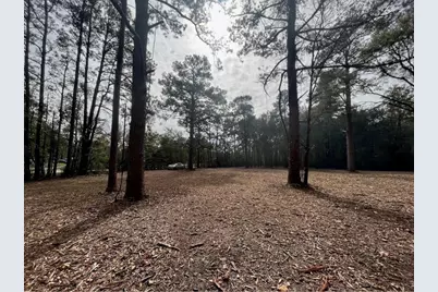 10690 Waukegan Road, Conroe, TX 77306 - Photo 3