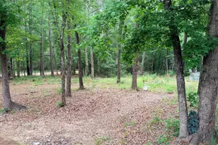 490 Powell Ln, Livingston, TX 77351 - Photo 5