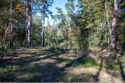 00 Farm To Market 1745, Chester, TX 75936 - Photo 33