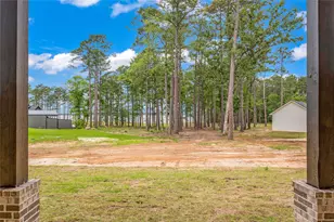 112 Private Rd 6029, Brookeland, TX 75931 - Photo 3