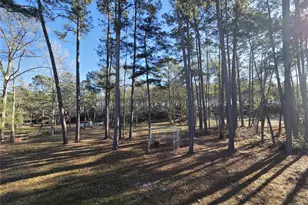 11224 Creek Meadow Dr, Willis, TX 77378 - Photo 23