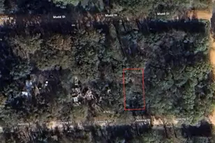 0 Janning St, Coldspring, TX 77331 - Photo 1