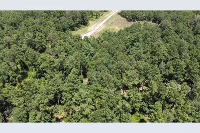 Tract 27 Cr 1105, Kennard, TX 75847 - Photo 9