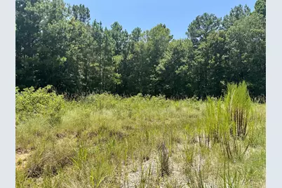 Tract 27 Cr 1105, Kennard, TX 75847 - Photo 11