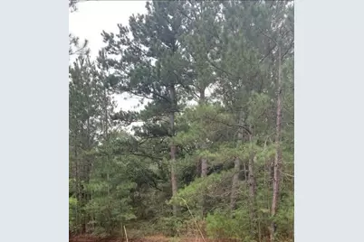 0 Mockingbird Lane, Hempstead, TX 77445 - Photo 7