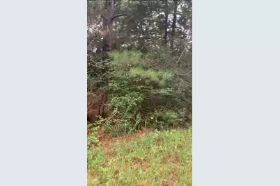 0 Mockingbird Lane, Hempstead, TX 77445 - Photo 5