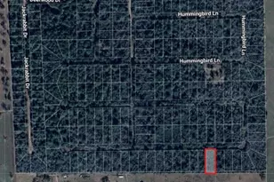 0 Mockingbird Ln, Hempstead, TX 77445 - Photo 1