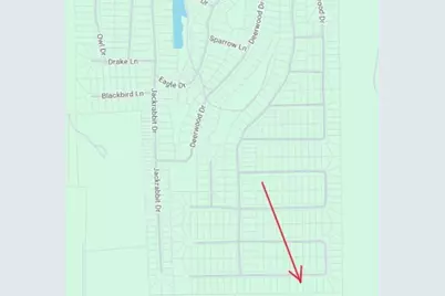 0 Mockingbird Lane, Hempstead, TX 77445 - Photo 3