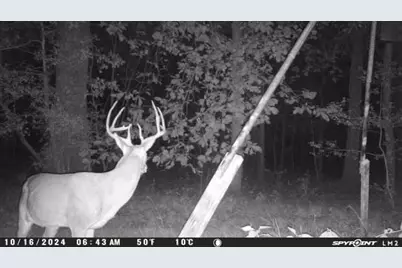 20575 N St Highway 146, Liberty, TX 77575 - Photo 7