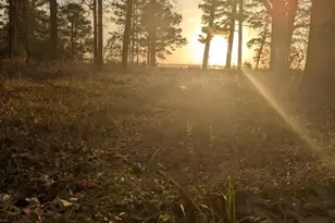 157 Lakeview Dr S, Livingston, TX 77351 - Photo 19