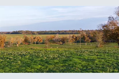 5925 Old Three Hundred Drive, Washington, TX 77880 - Photo 21