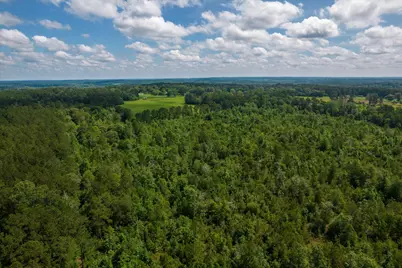 000 Tbd 3 Fm 1632, Woodville, TX 75979 - Photo 9