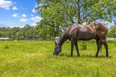 000 Tbd 3 Fm 1632, Woodville, TX 75979 - Photo 1