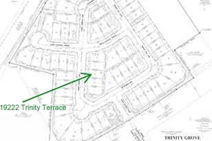 19222 Trinity Ter Ln, Spring, TX 77379 - Photo 15