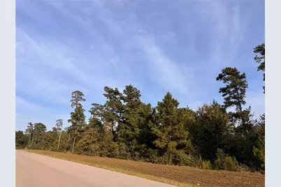 350 Iron Horse Road, Willis, TX 77378 - Photo 5