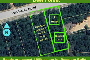 350 Iron Horse Rd, Willis, TX 77378 - Photo 1