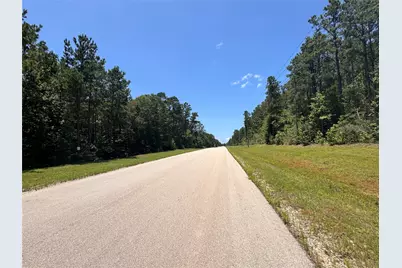 350 Iron Horse Road, Willis, TX 77378 - Photo 31