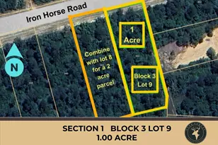 350 Iron Horse Rd, Willis, TX 77378 - Photo 1
