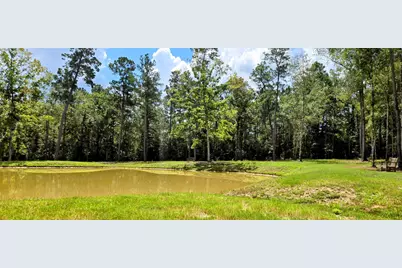 350 Iron Horse Road, Willis, TX 77378 - Photo 23