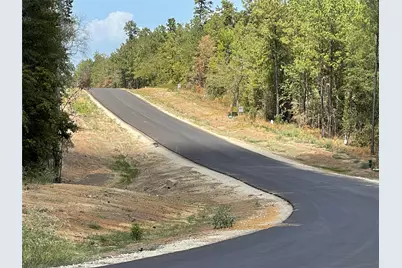 350 Iron Horse Road, Willis, TX 77378 - Photo 17