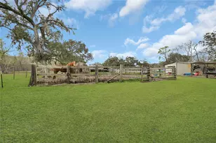 16423 County Rd 528, Rosharon, TX 77583 - Photo 29