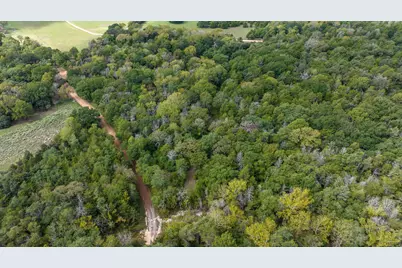 0000 Dungens Mills Road, Columbus, TX 78934 - Photo 5