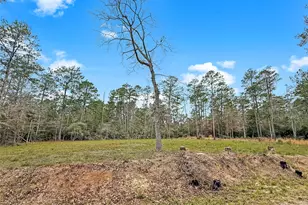 252 Amblewood Dr Dr, Brookeland, TX 75931 - Photo 1