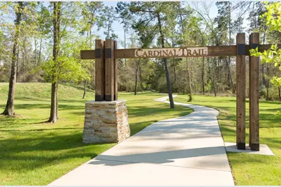 8119 Messina Mount Drive, Magnolia, TX 77354 - Photo 43