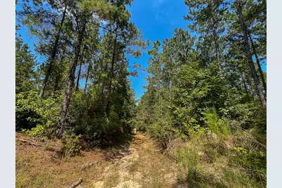 0 Cr 314, Kirbyville, TX 75956 - Photo 7