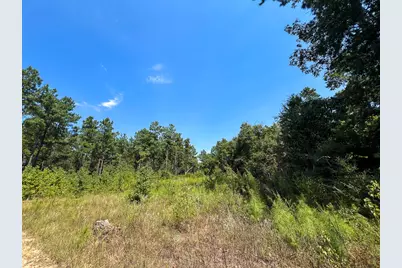 0 Cr 314, Kirbyville, TX 75956 - Photo 3