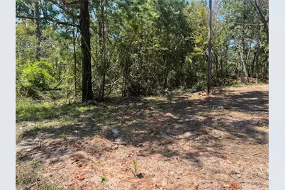 0 Hill Top Lane, Point Blank, TX 77364 - Photo 13