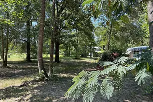 181 Willow Oak Ln, Point Blank, TX 77364 - Photo 31