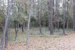 12 Weeping Willow, Trinity, TX 75862 - Photo 1