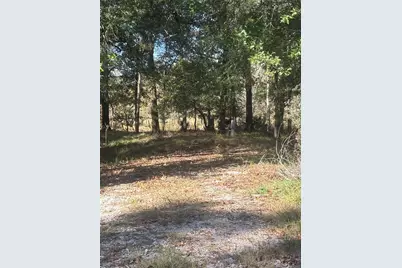 195 Center Street, Cleveland, TX 77327 - Photo 5