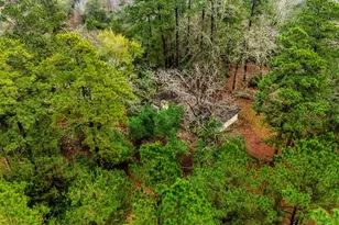 401 Turner Cemetery Rd, Livingston, TX 77351 - Photo 27