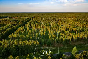 Tbd Lot 2 Fm 1276, Livingston, TX 77351 - Photo 1