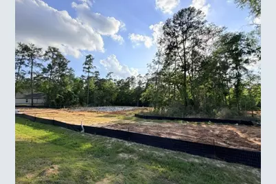 323 Louvenia Court, Pinehurst, TX 77362 - Photo 17