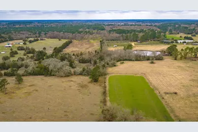 24784 Bailey Grove Road, Montgomery, TX 77356 - Photo 9
