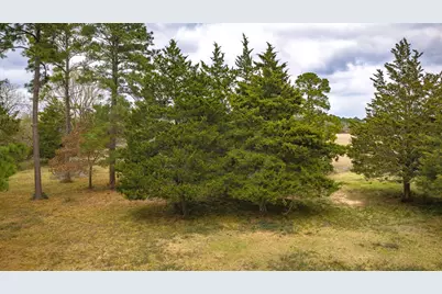 24784 Bailey Grove Road, Montgomery, TX 77356 - Photo 17