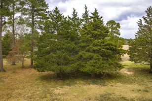 24784 Bailey Grove Rd, Montgomery, TX 77356 - Photo 17