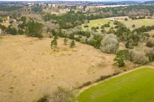 24784 Bailey Grove Rd, Montgomery, TX 77356 - Photo 11