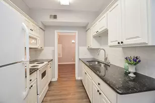 2255 Braeswood Park Dr, Houston, TX 77030 - Photo 11