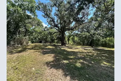 0 Austin Street, Brazoria, TX 77422 - Photo 5