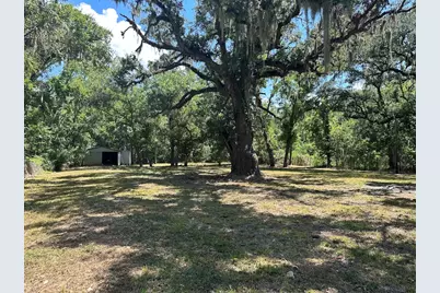 0 Austin Street, Brazoria, TX 77422 - Photo 13